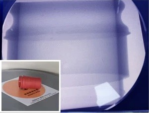 PLASTIC CRACKS PLASTIC CRACKS